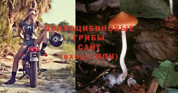 СК Алексин