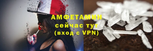 молекула духа Алексеевка