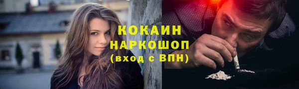 молекула духа Алексеевка