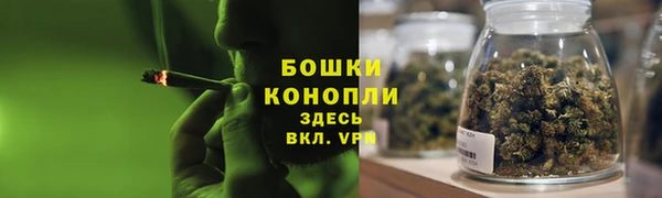 дживик Пересвет