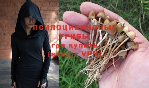 дживик Пересвет