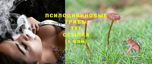 индика Переславль-Залесский